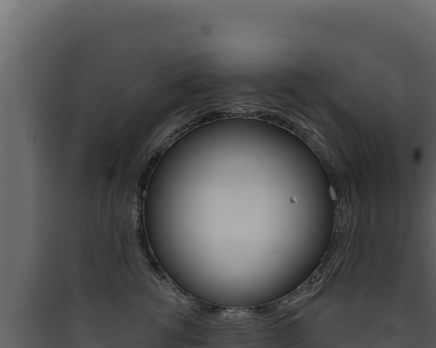 X0000090440762200707131030