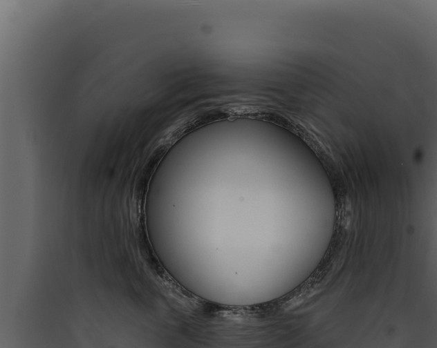 X0000090440763200707131030