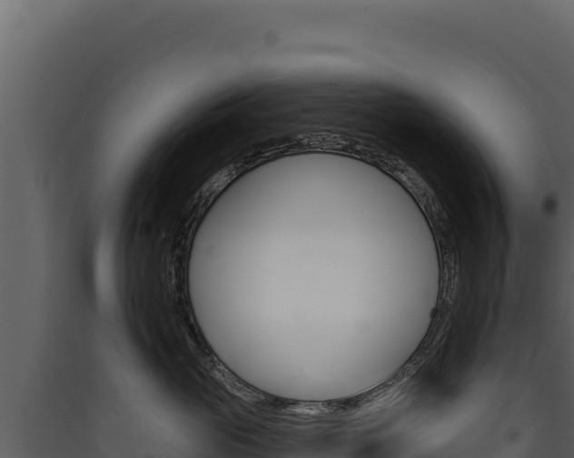 X0000090440765200707131030