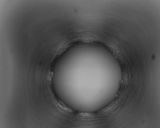 X0000090440766200707131030