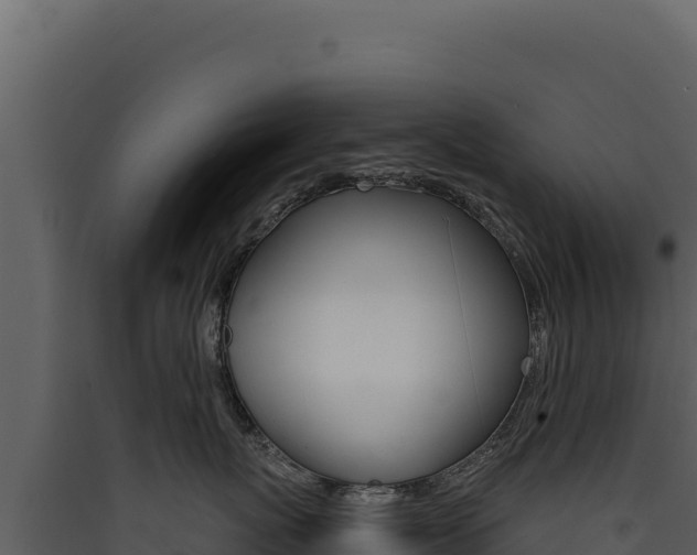 X0000090440767200707131030