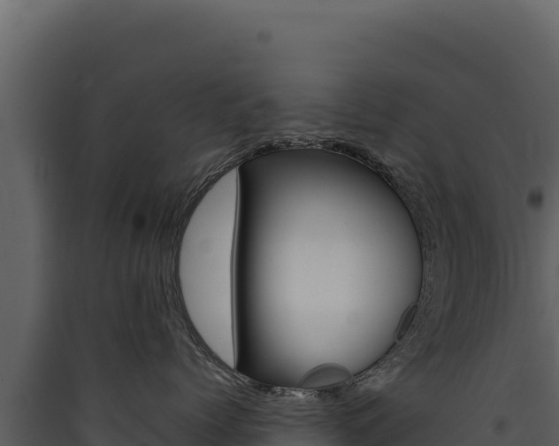 X0000090440768200707131030