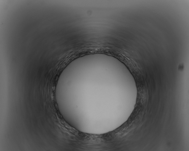 X0000090440770200707131029