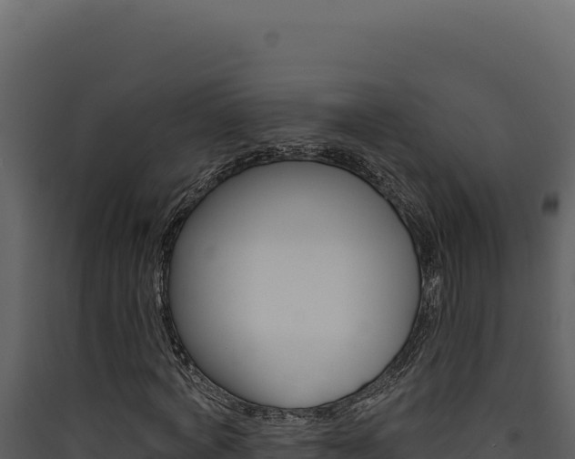 X0000090440772200707131029