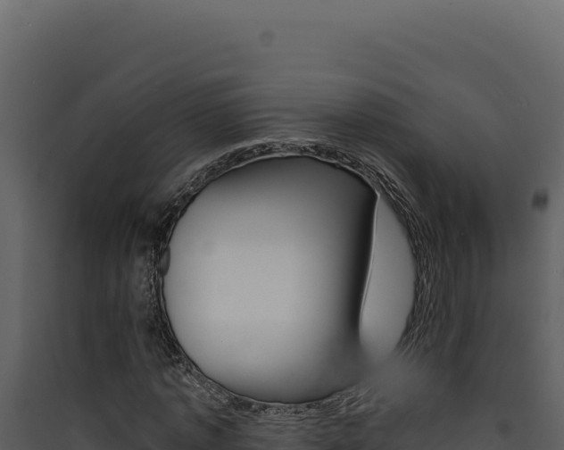 X0000090440773200707131029