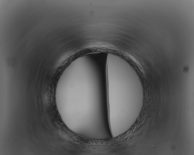 X0000090440775200707131029