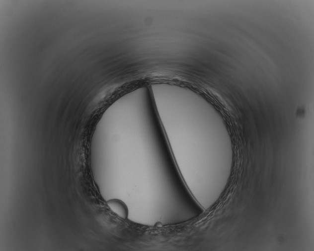 X0000090440776200707131029