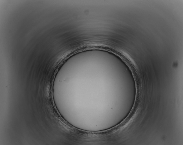 X0000090440777200707131029