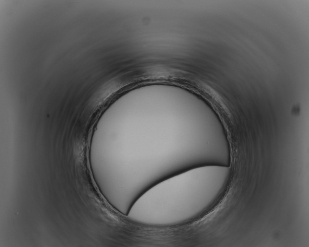 X0000090440778200707131029