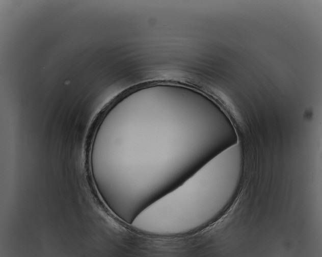 X0000090440780200707131029