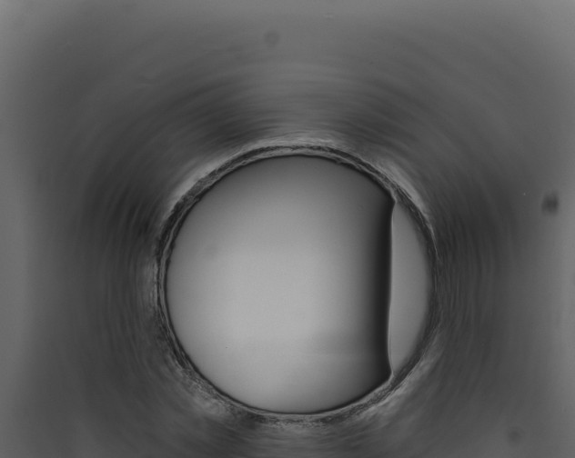 X0000090440781200707131029
