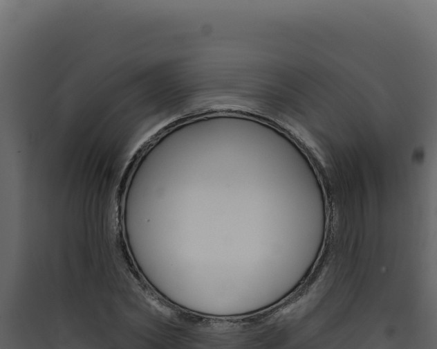 X0000090440782200707131029