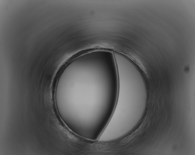 X0000090440784200707131029