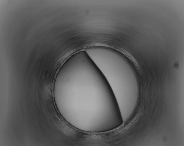 X0000090440785200707131029