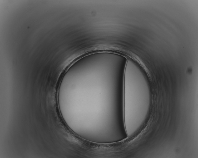X0000090440786200707131029