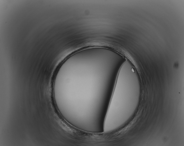 X0000090440787200707131029