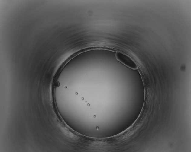 X0000090440788200707131029