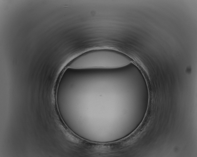 X0000090440789200707131029