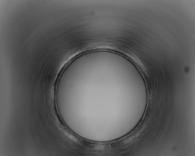 X0000090440790200707131029