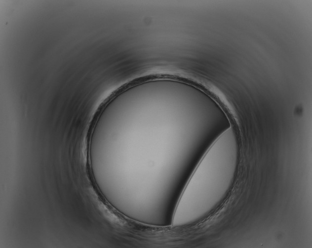 X0000090440791200707131029