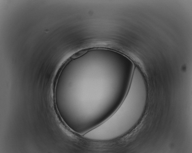 X0000090440792200707131029