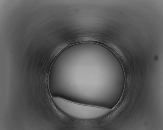 X0000090440793200707131029