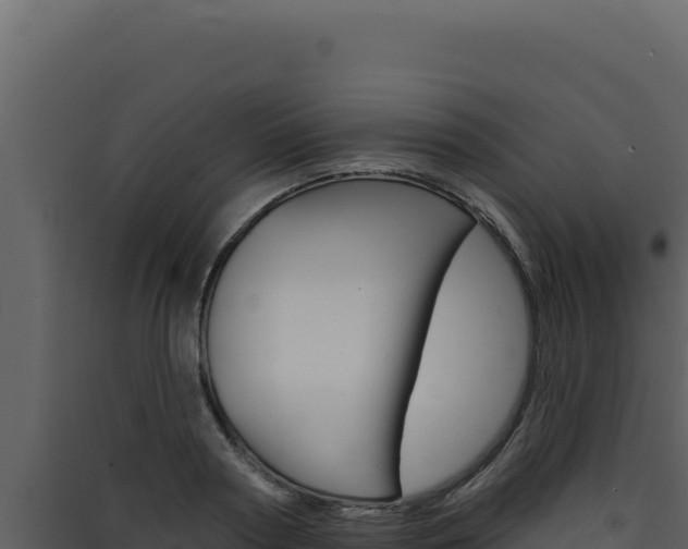 X0000090440794200707131029