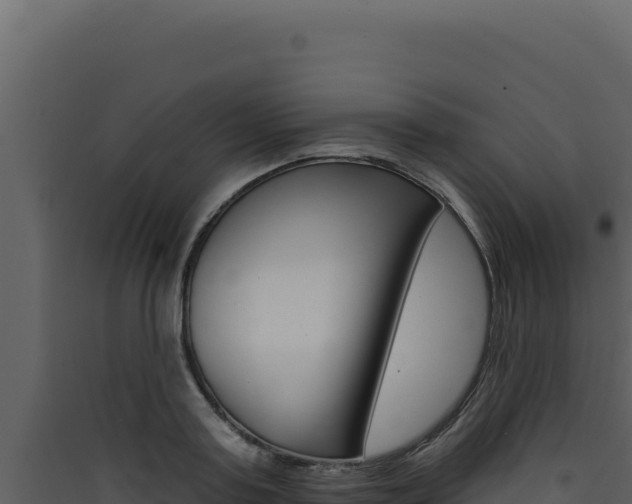 X0000090440795200707131029