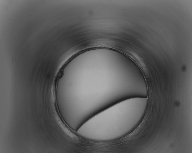 X0000090440796200707131029