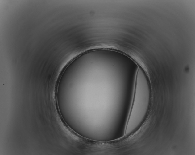 X0000090440797200707131029
