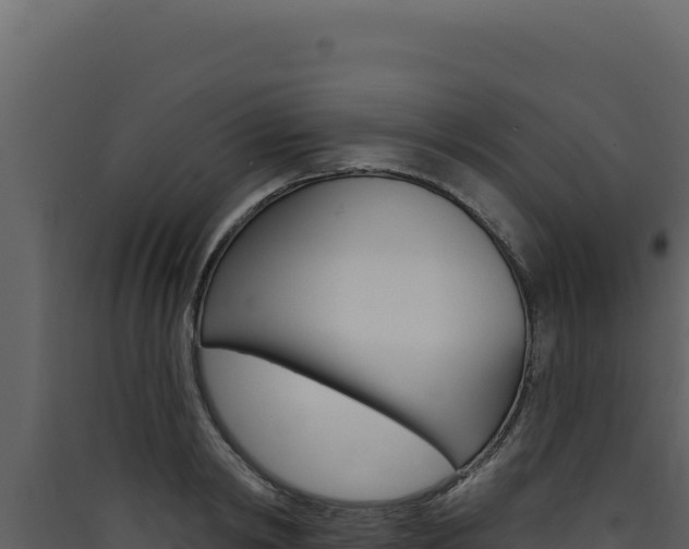 X0000090440798200707131029