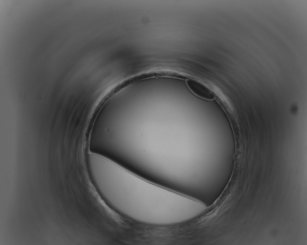 X0000090440799200707131029