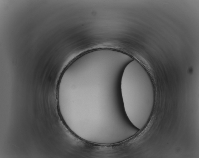 X0000090440800200707131029