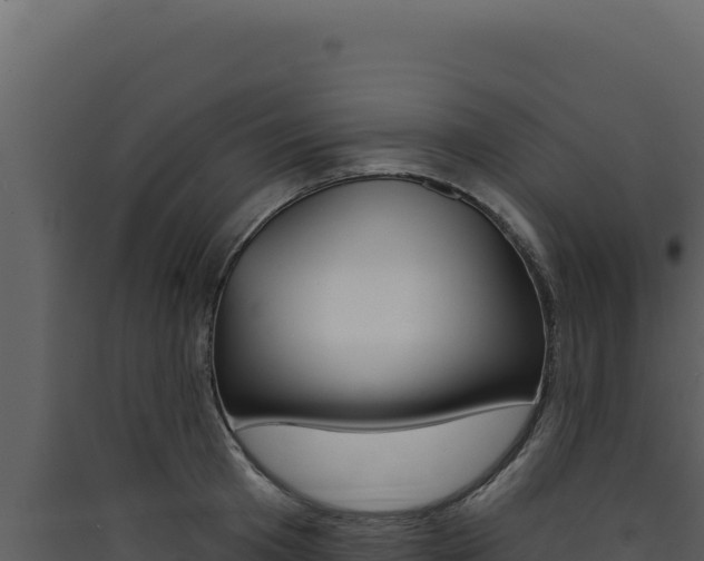 X0000090440801200707131029