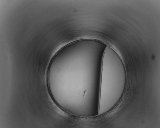 X0000090440803200707131029