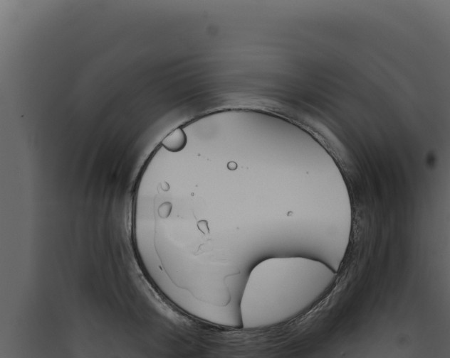 X0000090440804200707131029