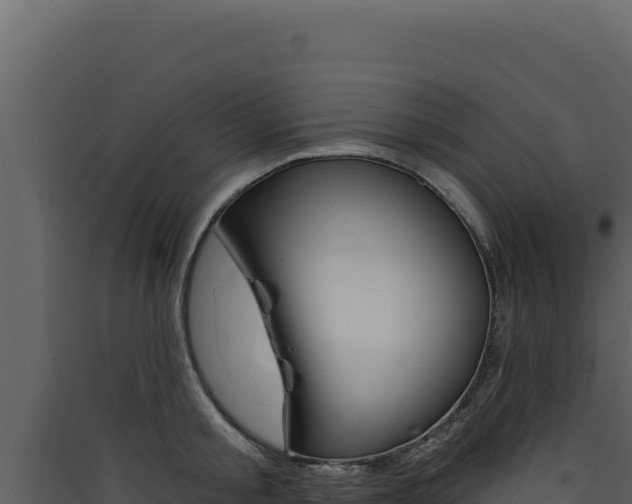 X0000090440805200707131029