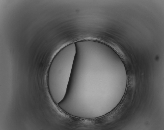 X0000090440806200707131029