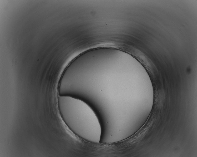X0000090440808200707131029