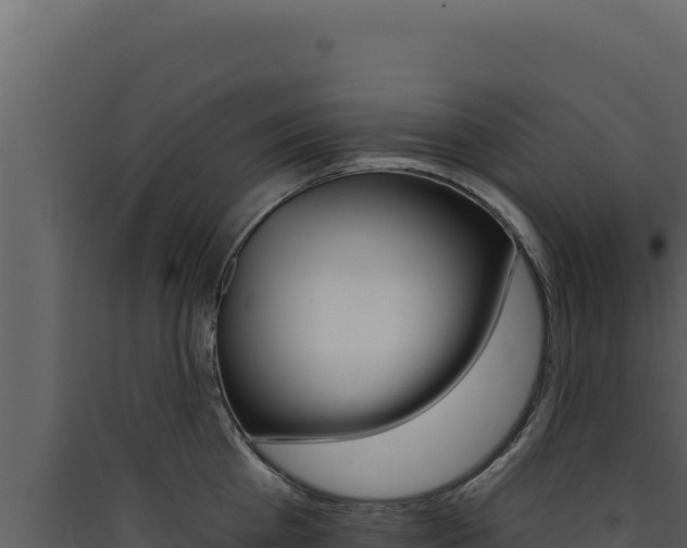 X0000090440809200707131029