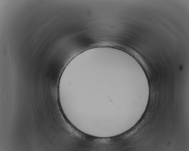 X0000090440810200707131029