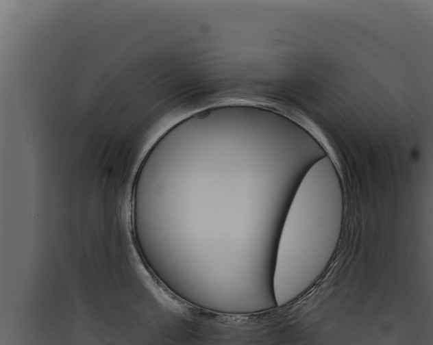 X0000090440811200707131029