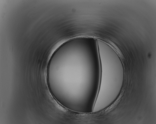 X0000090440812200707131029