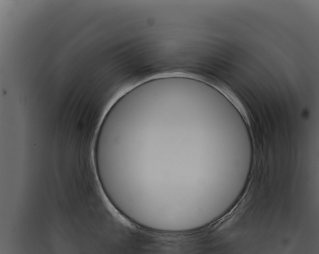 X0000090440813200707131029