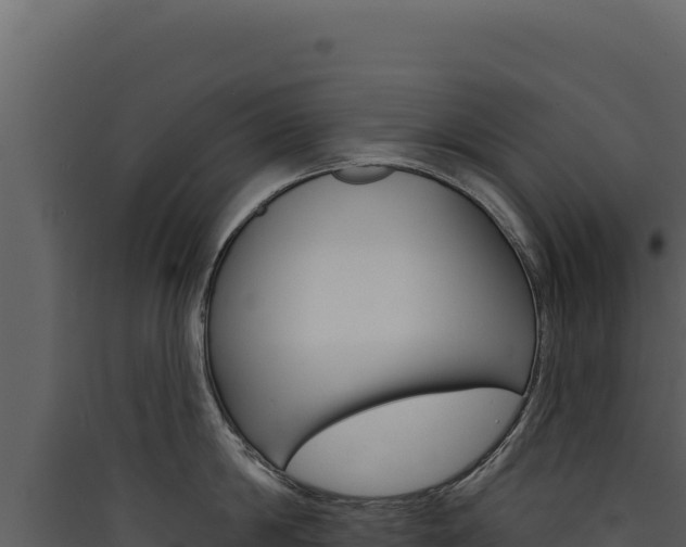 X0000090440814200707131029