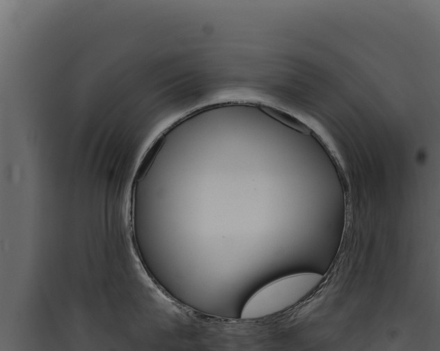 X0000090440815200707131029