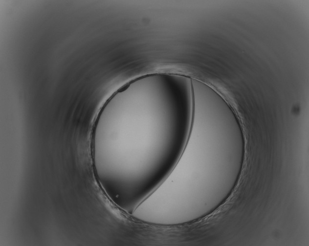 X0000090440816200707131029