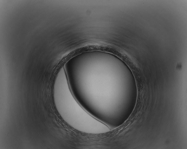 X0000090440822200707131028