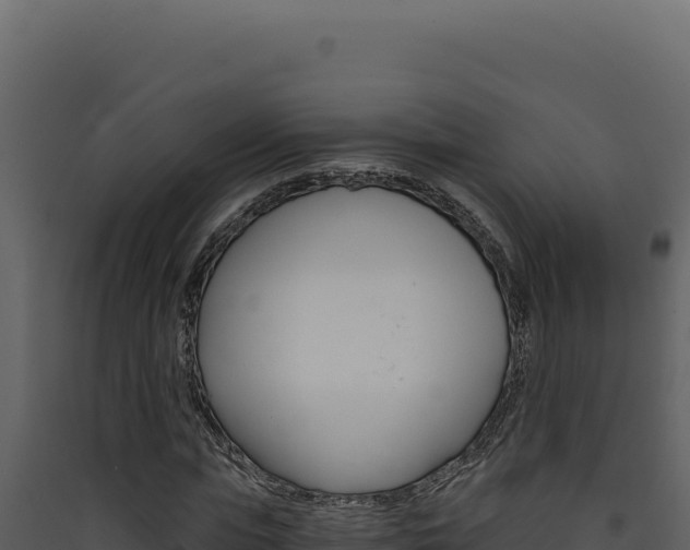 X0000090440823200707131028