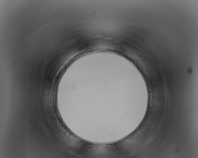 X0000090440828200707131028